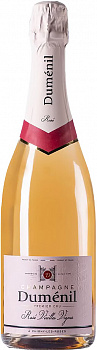 19961
