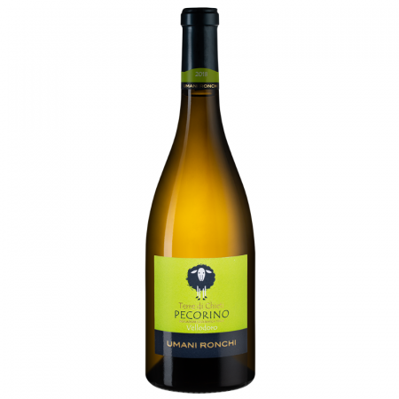 vino-vellodoro-pecorino-terre-di-chieti-umani-ronchi-2018_1 (1)