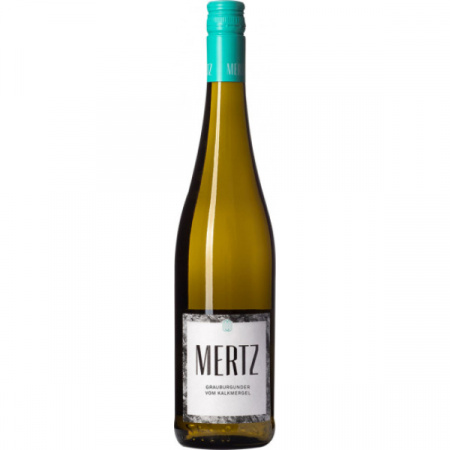 2020-eckelsheimer-grauburgunder-vom-kalkmergel-trocken-weingut-mertz-49f (1)
