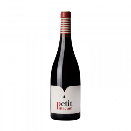 BODEGAS-TERRAS-GAUDA-PETIT-PITTACUM