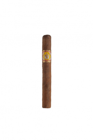 Rey_Del_Mundo_Demi_Tasse