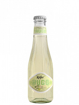 kafer_hugo_02
