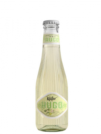 kafer_hugo_02
